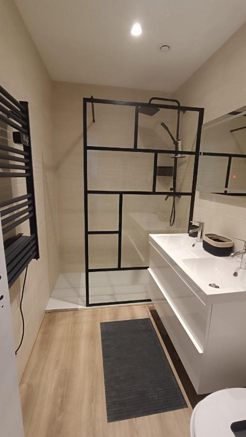 Duplex - Palais De Justice Apartment Toulouse Ngoại thất bức ảnh